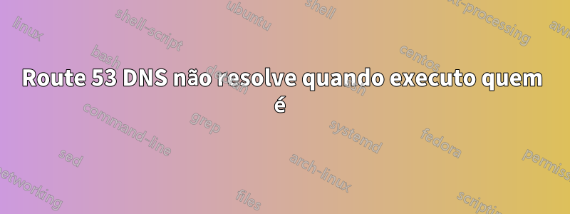 Route 53 DNS não resolve quando executo quem é