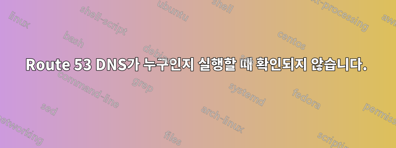 Route 53 DNS가 누구인지 실행할 때 확인되지 않습니다.