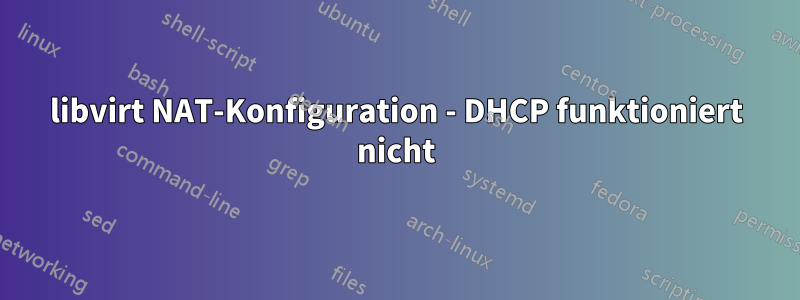 libvirt NAT-Konfiguration - DHCP funktioniert nicht