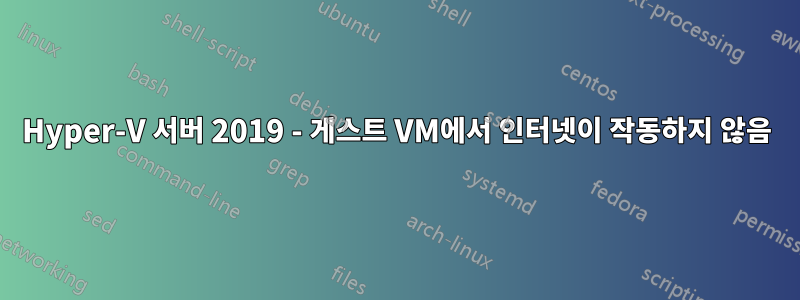 Hyper-V 서버 2019 - 게스트 VM에서 인터넷이 작동하지 않음