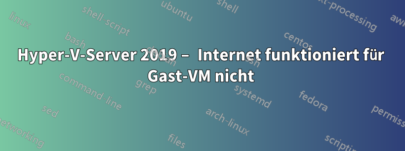 Hyper-V-Server 2019 – Internet funktioniert für Gast-VM nicht