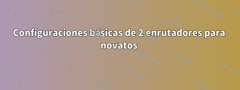 Configuraciones básicas de 2 enrutadores para novatos