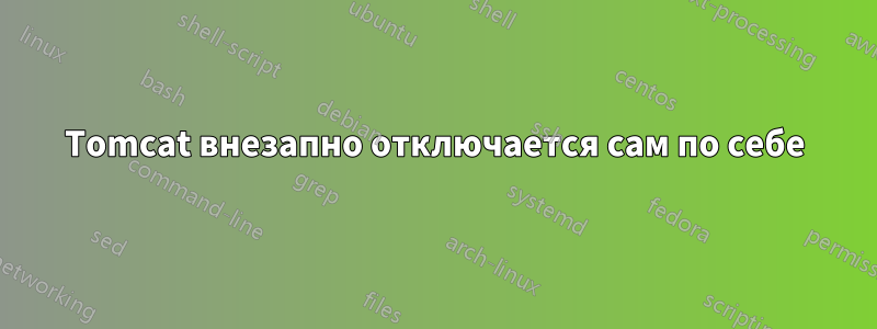 Tomcat внезапно отключается сам по себе
