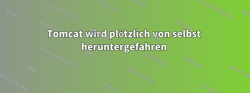 Tomcat wird plötzlich von selbst heruntergefahren