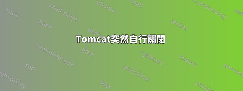 Tomcat突然自行關閉
