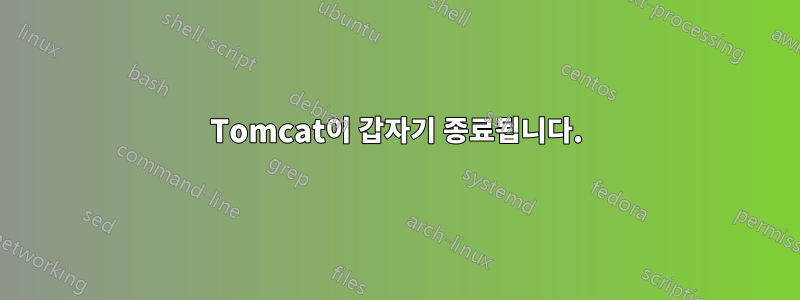 Tomcat이 갑자기 종료됩니다.