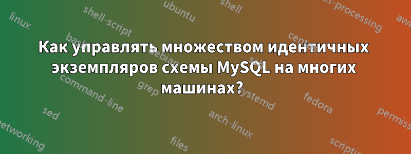 Как управлять множеством идентичных экземпляров схемы MySQL на многих машинах? 