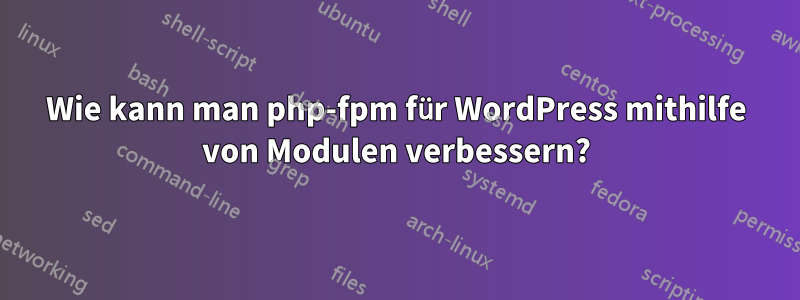 Wie kann man php-fpm für WordPress mithilfe von Modulen verbessern?