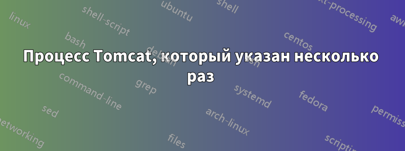 Процесс Tomcat, который указан несколько раз