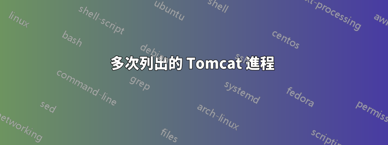 多次列出的 Tomcat 進程