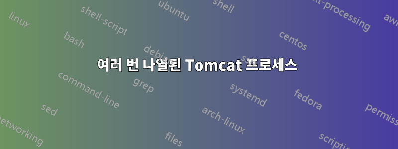 여러 번 나열된 Tomcat 프로세스