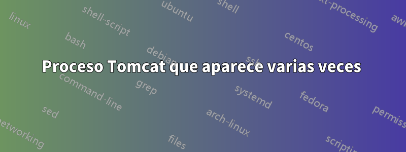 Proceso Tomcat que aparece varias veces