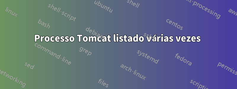 Processo Tomcat listado várias vezes