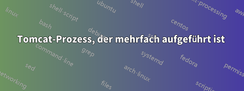 Tomcat-Prozess, der mehrfach aufgeführt ist