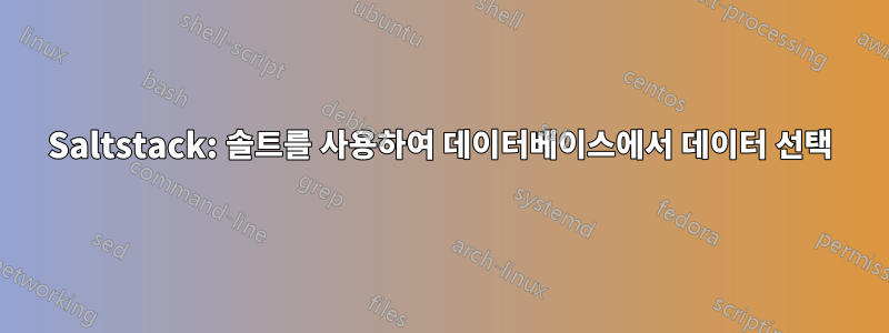 Saltstack: 솔트를 사용하여 데이터베이스에서 데이터 선택