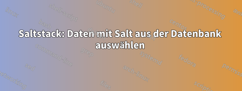 Saltstack: Daten mit Salt aus der Datenbank auswählen
