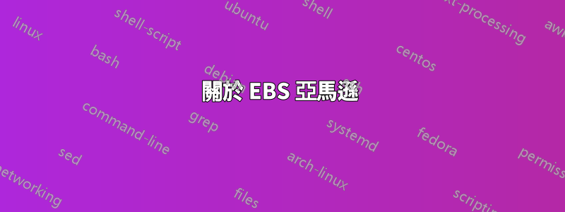 關於 EBS 亞馬遜