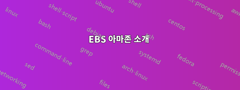 EBS 아마존 소개