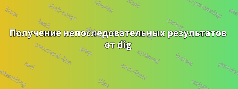 Получение непоследовательных результатов от dig