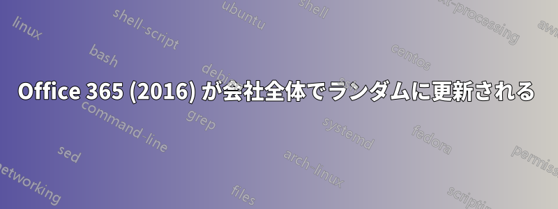 Office 365 (2016) が会社全体でランダムに更新される