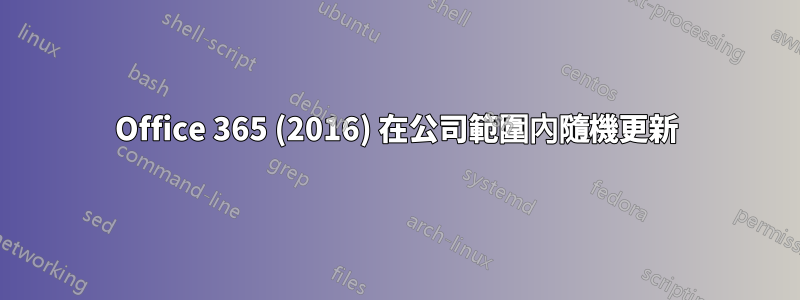 Office 365 (2016) 在公司範圍內隨機更新