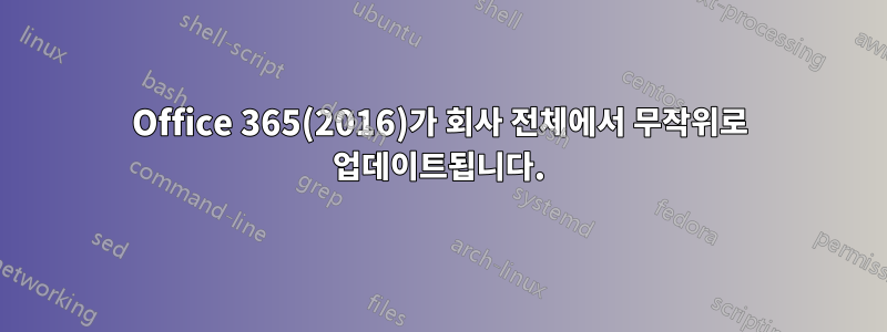 Office 365(2016)가 회사 전체에서 무작위로 업데이트됩니다.