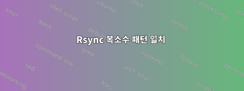 Rsync 복소수 패턴 일치