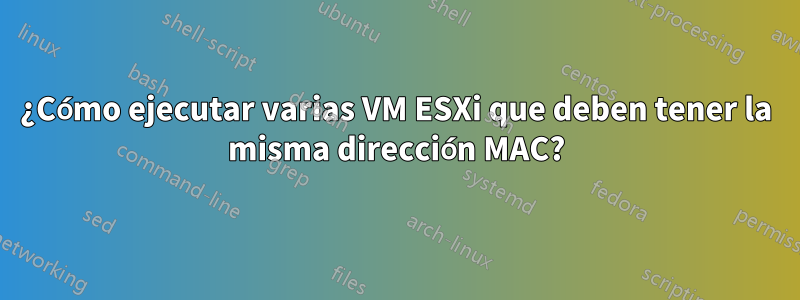 ¿Cómo ejecutar varias VM ESXi que deben tener la misma dirección MAC?