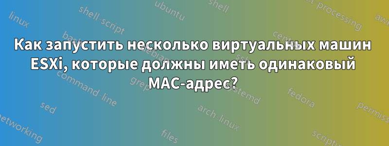 Как запустить несколько виртуальных машин ESXi, которые должны иметь одинаковый MAC-адрес?