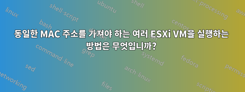 동일한 MAC 주소를 가져야 하는 여러 ESXi VM을 실행하는 방법은 무엇입니까?