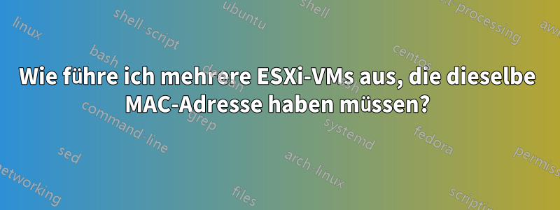 Wie führe ich mehrere ESXi-VMs aus, die dieselbe MAC-Adresse haben müssen?