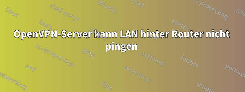 OpenVPN-Server kann LAN hinter Router nicht pingen