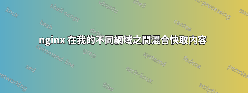 nginx 在我的不同網域之間混合快取內容