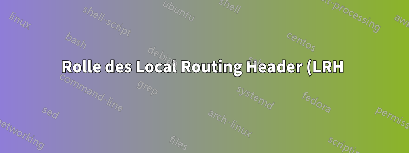 Rolle des Local Routing Header (LRH) in RoCEv2