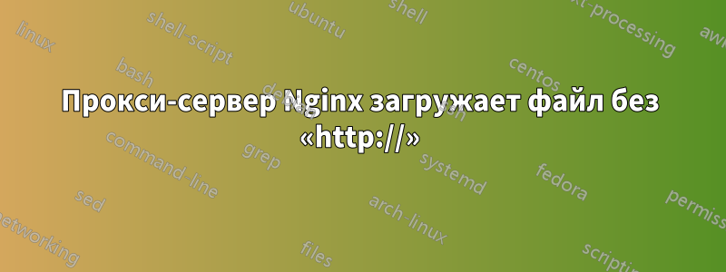 Прокси-сервер Nginx загружает файл без «http://»