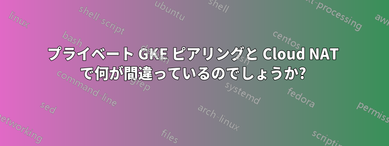 プライベート GKE ピアリングと Cloud NAT で何が間違っているのでしょうか?