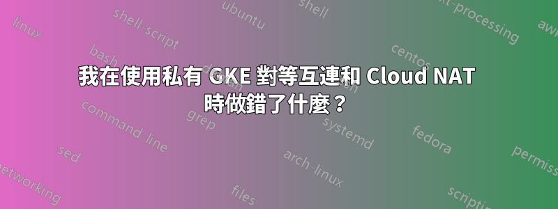 我在使用私有 GKE 對等互連和 Cloud NAT 時做錯了什麼？