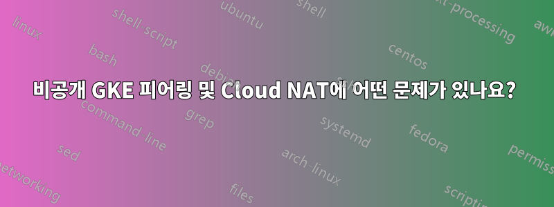 비공개 GKE 피어링 및 Cloud NAT에 어떤 문제가 있나요?