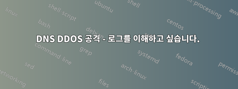 DNS DDOS 공격 - 로그를 이해하고 싶습니다.