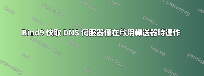 Bind9 快取 DNS 伺服器僅在啟用轉送器時運作