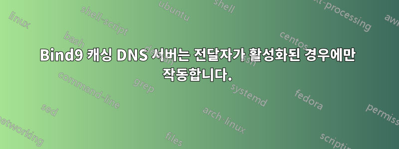Bind9 캐싱 DNS 서버는 전달자가 활성화된 경우에만 작동합니다.