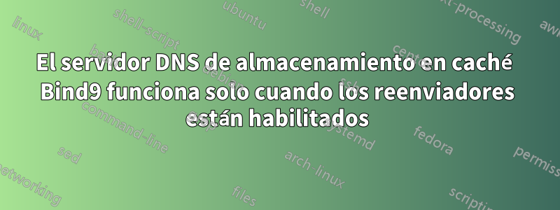 El servidor DNS de almacenamiento en caché Bind9 funciona solo cuando los reenviadores están habilitados