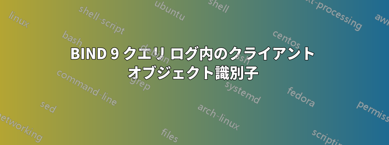 BIND 9 クエリ ログ内のクライアント オブジェクト識別子