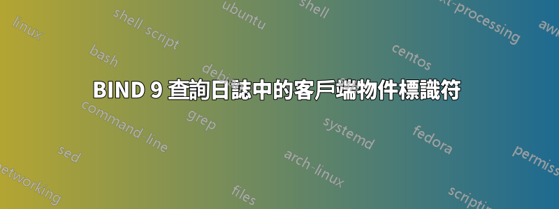 BIND 9 查詢日誌中的客戶端物件標識符