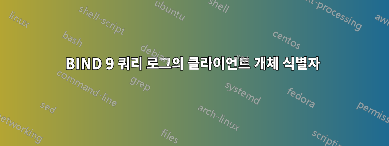 BIND 9 쿼리 로그의 클라이언트 개체 식별자