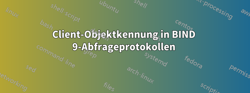 Client-Objektkennung in BIND 9-Abfrageprotokollen