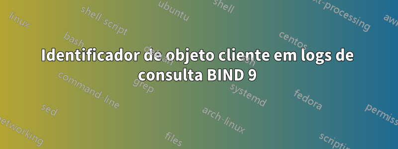 Identificador de objeto cliente em logs de consulta BIND 9