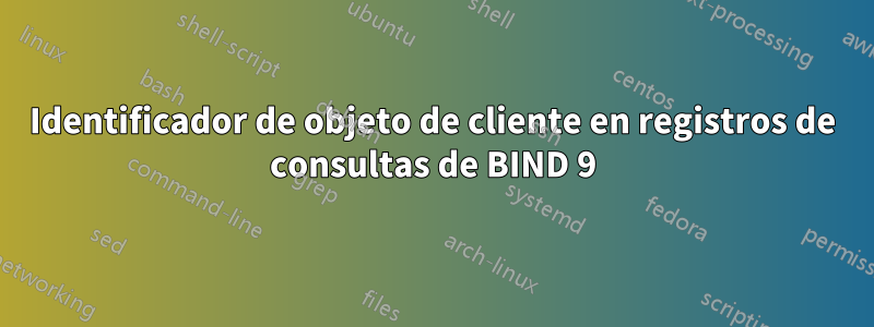 Identificador de objeto de cliente en registros de consultas de BIND 9