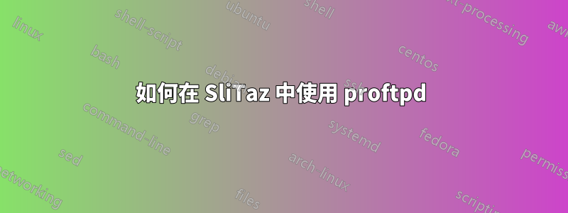 如何在 SliTaz 中使用 proftpd