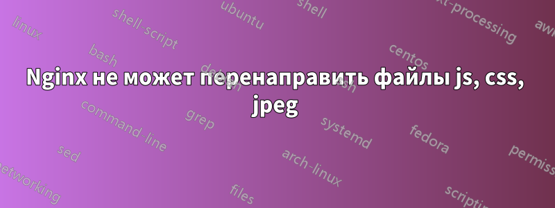 Nginx не может перенаправить файлы js, css, jpeg